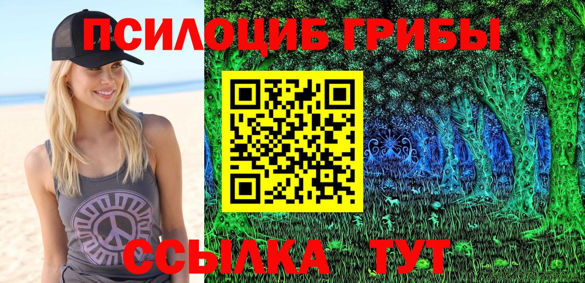 Железноводск  Псилоцибиновые грибы MAGIC MUSHROOMS  Псилоцибиновые грибы прущие грибы  Вход с VPN 